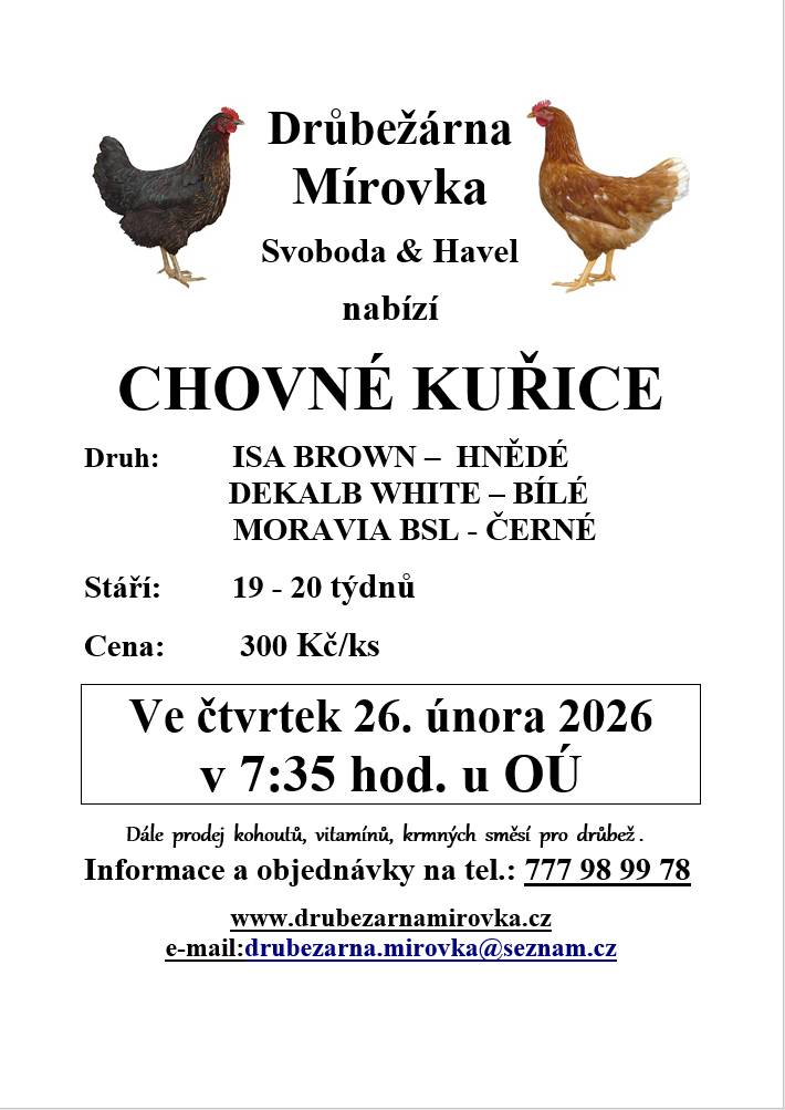 Drůbežárna Mírovka prodává kuřice v obci