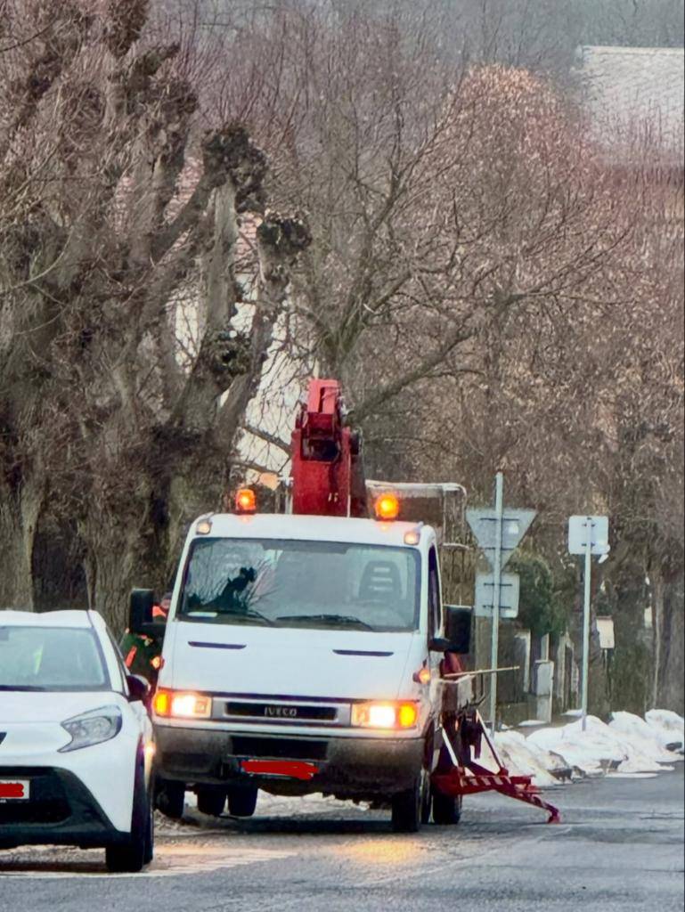 V ulici Vrbenského aktuálně probíhá řezání stromů, a to minimálně do konce tohoto týdne.