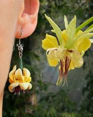 Náušnice s kakaovým květem