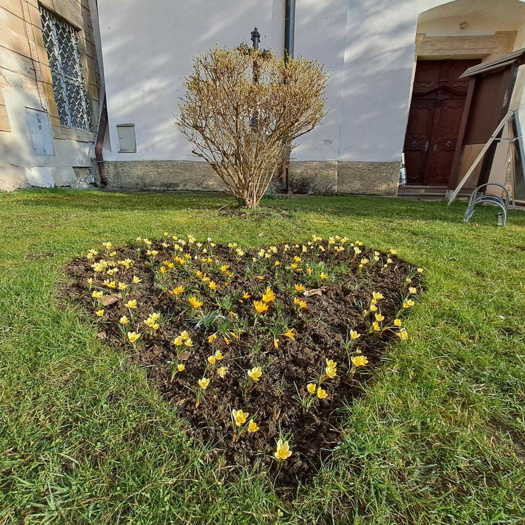 Sledování dramatických jednání o letošním státním rozpočtu leckomu bere vítr z plachet a dosavadní jistoty. Na co všechno nebudou finance? Naštěstí naše společnost není chudá a řada z nás má stále vytříbený cit pro solidaritu. Dárcovství nás drží nad vodou a dává naději.