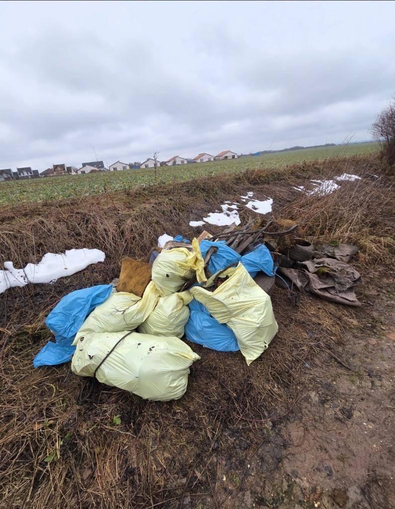 V sobotu 14. února proběhla v třebohostickém katastru s podporou městysu dobrovolnická úklidová akce. Fanoušci geocachingu se pustili do čištění polní cesty z křižovatky směrem na Dobročovice.