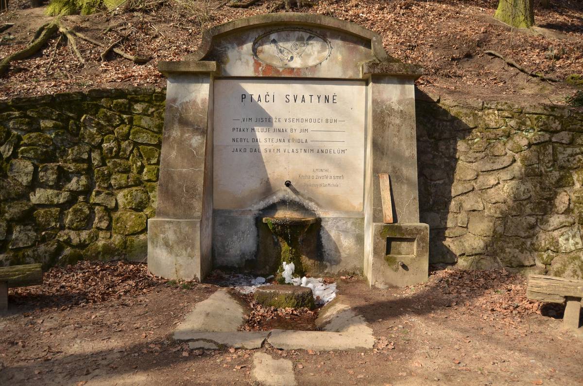 Školní lesní podnik Masarykův les Křtiny zahájí začátkem měsíce dubna 2026 kompletní odbornou opravu studánky Ptačí svatyně a jejího okolí v sousedství Adamova. Cílem je navrátit studánce i jejímu bezprostřednímu okolí původní podobu doloženou historickou dokumentací. Začátek prací je v případě příznivého počasí stanoven na 1. dubna 2026, dokončení stavby je smluvně sjednáno na 15. 9. 2026. Po dobu realizace bude vstup do prostoru před studánkou uzavřen. Školní lesní podnik Křtiny zajistí náhradní vyústění vody do svahu pod studánkou. K místu povedou vybudované jednoduché pěšiny. Věříme, že výsledek za dočasná omezení stojí. Děkujeme za pochopení a vstřícnost. V případě doplňujících dotazů kontaktujte Ing. Borka Nejezchleba, +420 602 195 451.