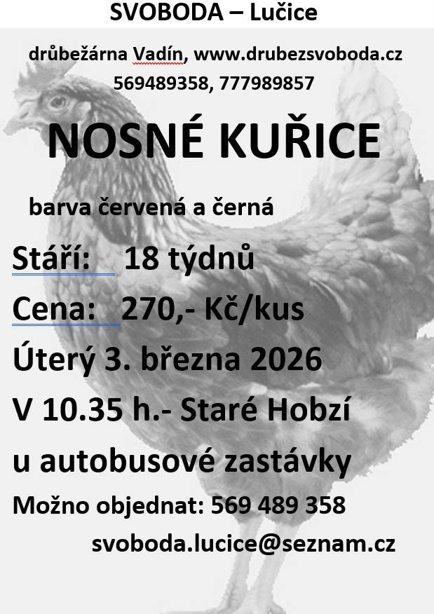 Drůbežárna Vadín nabízí nosné kuřice v barvách červené a černé. Kuřice jsou ve stáří 18 týdnů a jejich cena činí 270 Kč za kus. Prodej se uskuteční 3. března 2026 v 10:35 hodin u autobusové zastávky ve Starém Hobzí. Objednávat můžete na telefonním čísle 569 489 358 nebo e-mailem.