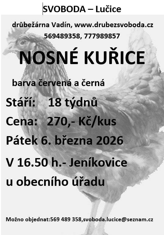 Firma Svoboda Lučice bude prodávat v pátek 6. března 2026 v 16.50 hodin u OÚ               nosné kuřice, stáří 18 týdnů, cena 270,- Kč/kus, barva červená a černá  Objednání je možné na  tel. 569 489 358 nebo emailem svoboda.lucice@seznam.cz