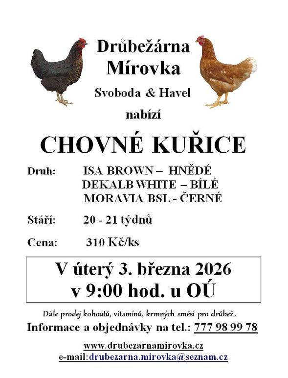 DRŮBEŽÁRNA MÍROVKA, Svoboda-Havel, bude v úterý 3. 3. 2026 v 9:00 u OÚ prodávat kuřice. Více informací v letáčku: