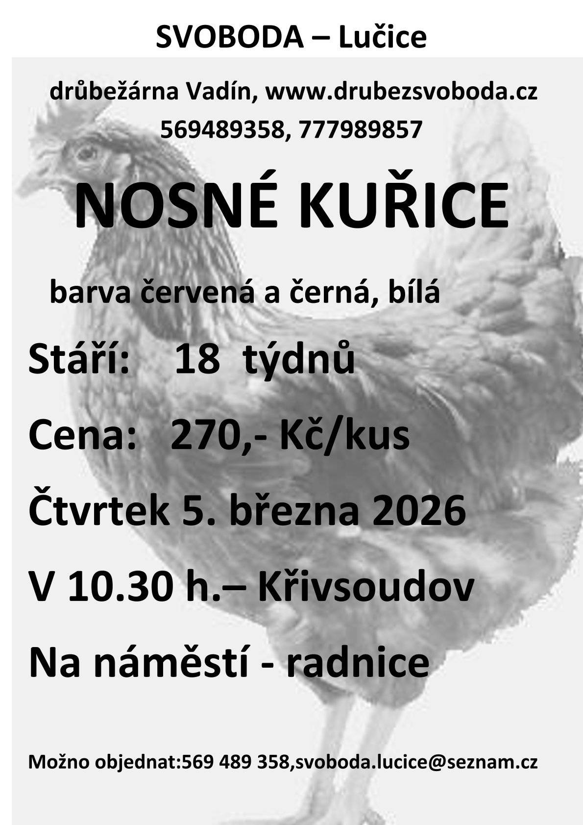 SVOBODA-Lučice,  drůbežárna Vadín prodává ve čtvrtek 5. března 2026 v 10:30 hod, Na náměstí - radnice   nosné kuřice  (červená, bílá, černá) - 18 týdnů,  cena 270  Kč/ks Objednání  je možné na tel.: 569 489 358 nebo svoboda.lucice@seznam.cz