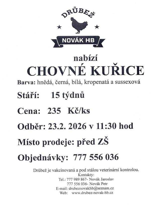 Drůbež Novák HB - drůbežárna Mírovka, bude v pondělí 23.2.  2026 v 11:30hod.prodávat nosné kuřice před snůškou stáří  15 týdnů, cena 235kč/ks.