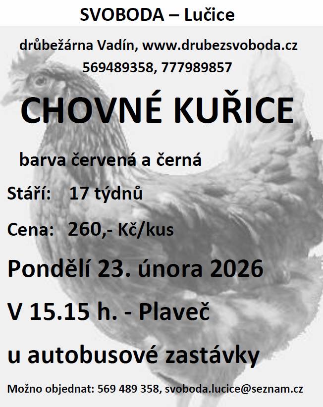 V pondělí 23.2.2026 v 15:15h