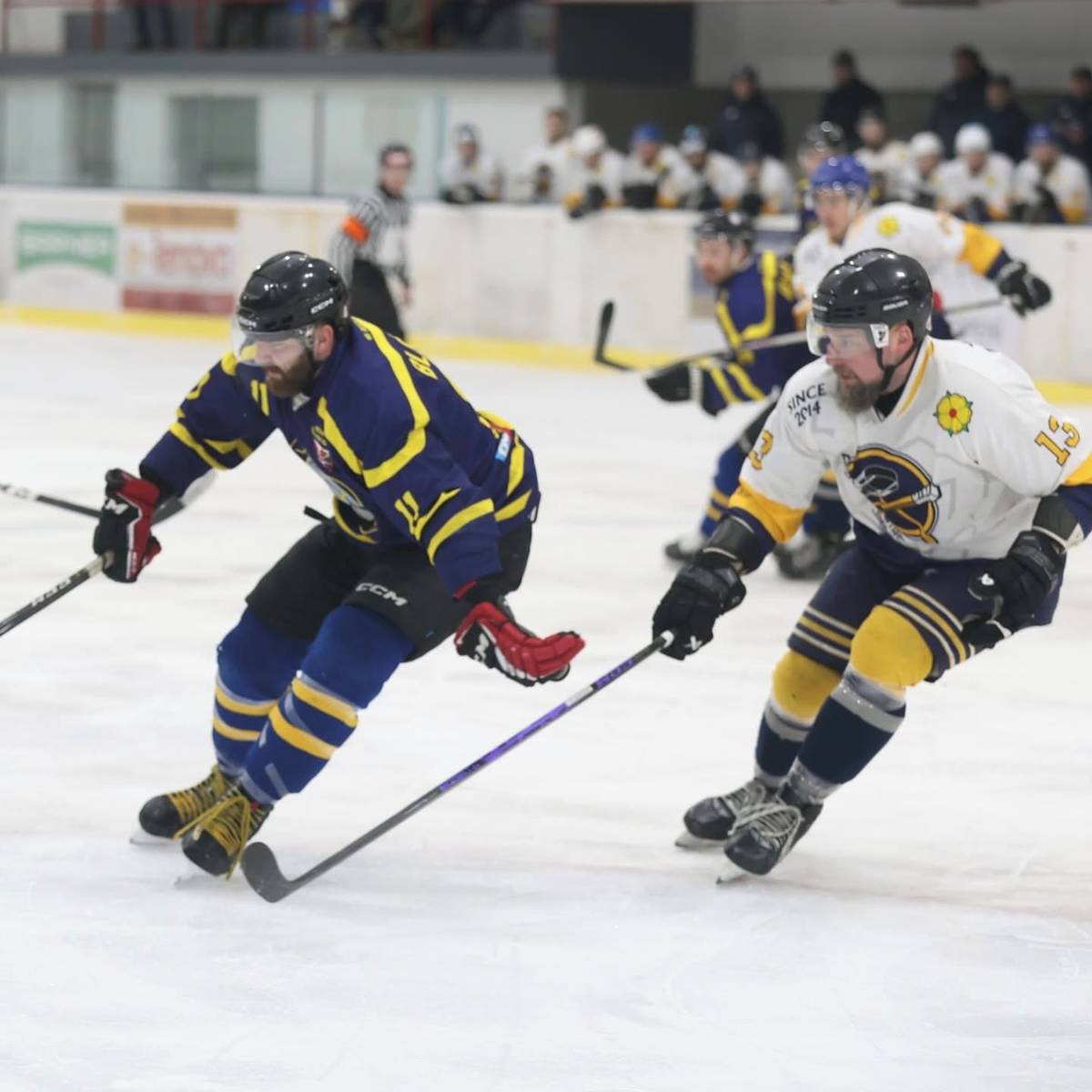 Jindřichohradečtí hokejisté ještě budou muset o postup do semifinále play off krajské ligy zabojovat. V třetím čtvrtfinálovém souboji totiž doma nestačili na Veselí nad Lužnicí, kterému podlehli 2:5 a hosté tak snížili stav série hrané na tři vítězství na 1:2.