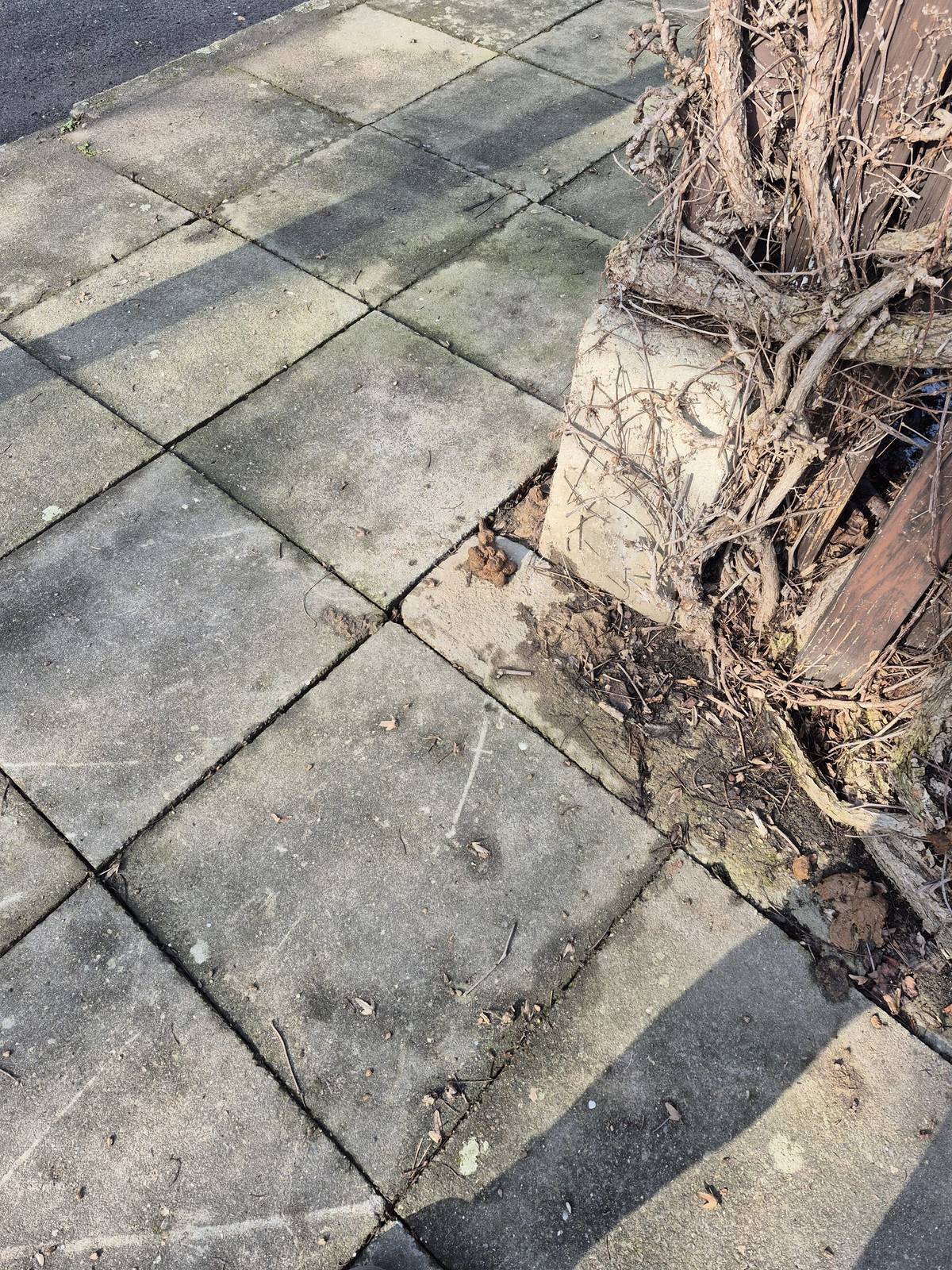 Vážení občané, v obci se nám bohužel rozmohl nešvar – někteří majitelé psů po svých mazlíčcích neuklízí exkrementy. Prosíme všechny, aby po svých psech uklízeli a pomohli tak udržet naši obec čistou. Děkujeme.