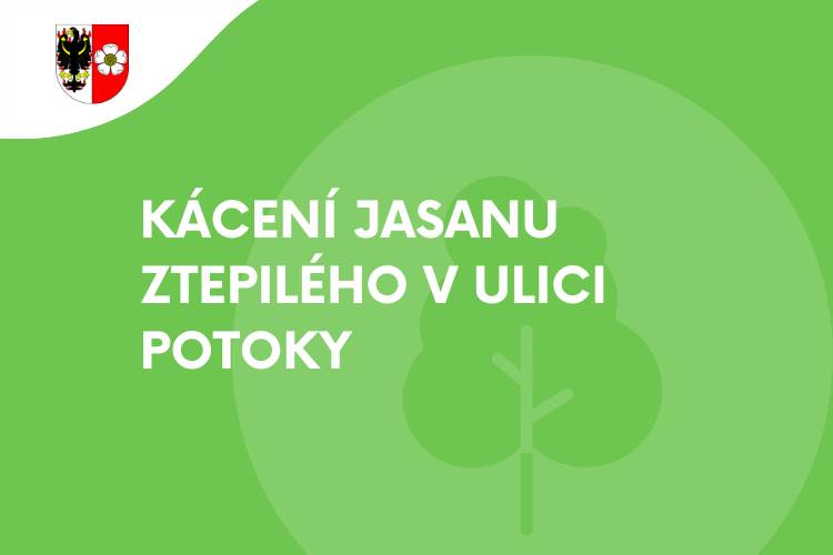 V týdnu od 23. 2. bude ve střední části ulice Potoky probíhat asanace cca 30 jedinců jasanu ztepilého.    Žádáme občany o zvýšenou opatrnost při pohybu v místě prací.
