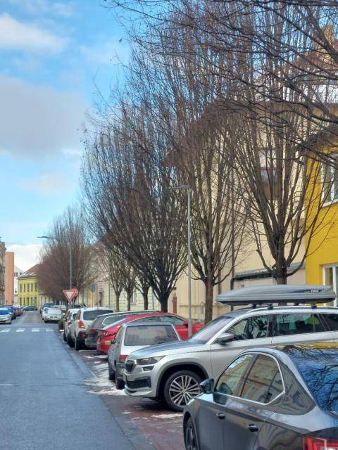 V týdnu od 23. 2. do 28. 2. 2026 bude v ulicích Daliborka a Šafaříkova  probíhat odborné ošetření (obvodová redukce) stromů Carpinus betulus 'Frans Fontaine' (habr obecný ‚Frans Fontaine‘) na základě požadavků občanů.                               Číst dál...