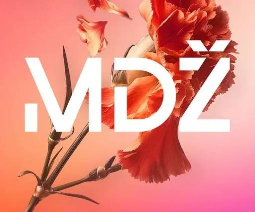 Mezinárodní den že