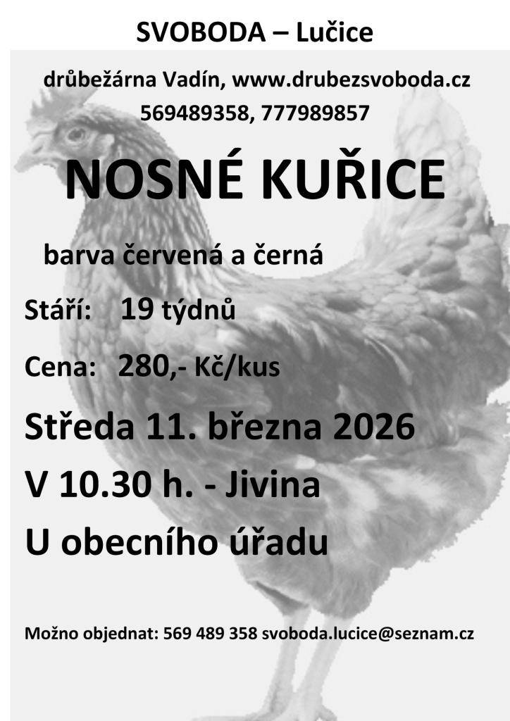 Prodej kuřic 11.3.2026 v 10.30 před budovou OU.