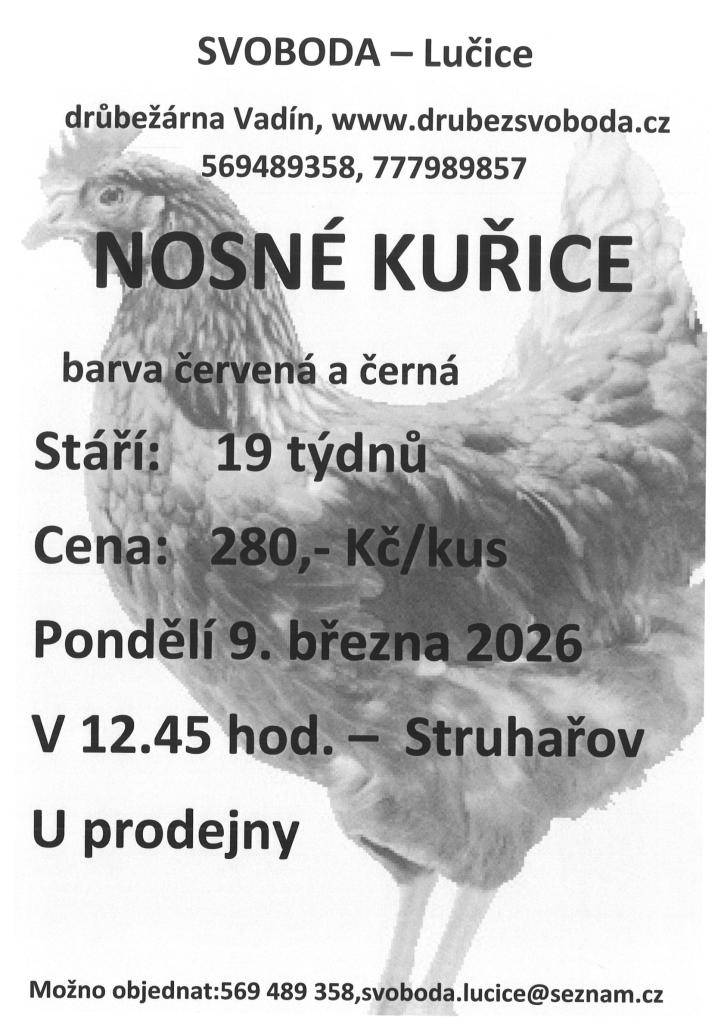 Drůbežárna Vadín nabízí k prodeji nosné kuřice červené a černé barvy. Kuřice jsou ve stáří 19 týdnů a cena za kus je 280 Kč. Pro zájemce je možné objednat kuřice telefonicky nebo e-mailem. Prodej se uskuteční v pondělí 9.3. 2026 v 12:45 hodin u prodejny ve Struhařově.
