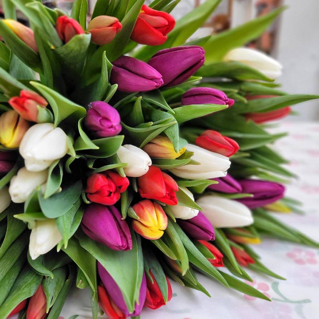 Oslava MDŽ dne 13. 3.2026 v KD Slavice od 18:00 hodi