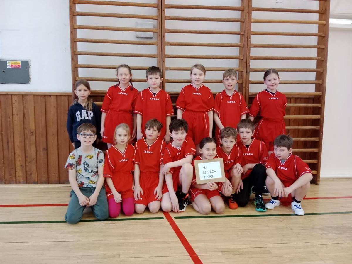 Dne 23. února se žáci třetích ročníků naší školy zúčastnili tradičního turnaje ve vybíjené pro žáky našeho regionu, který se konal v Sedlčanech.
