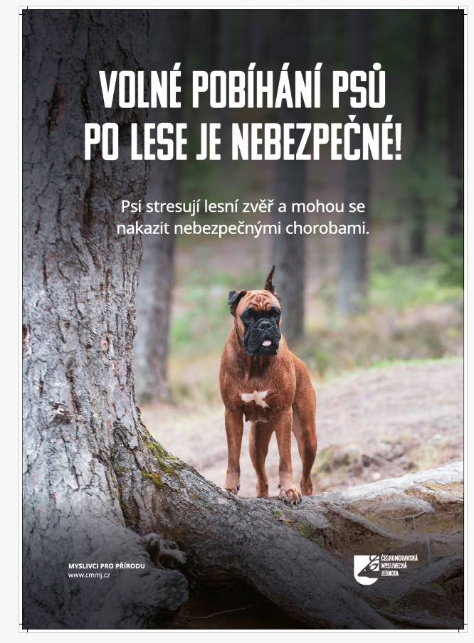 Choroba není nebezpečná pro člověka, ale pro psy a kočky. Jde o to, aby lidé, kteří chodí venčit své mazlíčky do přírody, je měli na vodíku.