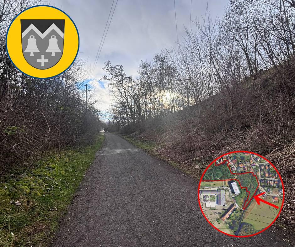 Ve středu 25. února proběhne kácení na lesním pozemku podél ulice Polní, v úseku mezi ulicemi V Líchách a Statenická. Provoz by neměl být omezen, přesto prosíme o zvýšenou opatrnost při pohybu v této lokalitě. Pokud je to možné, doporučujeme se místu po dobu prací vyhnout. Děkujeme za pochopení.