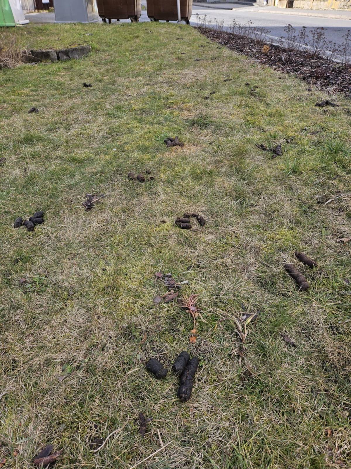 Důrazně žádáme všechny majetele psů, aby po nich na veřejných prostranství uklízeli exkrementy. Koše a sáčky jsou k dispozici ve vybraných lokalitách. V České republice je neodstranění exkrementů (zejména psích) klasifikováno jako přestupek proti veřejnému pořádku a může být pokutováno.