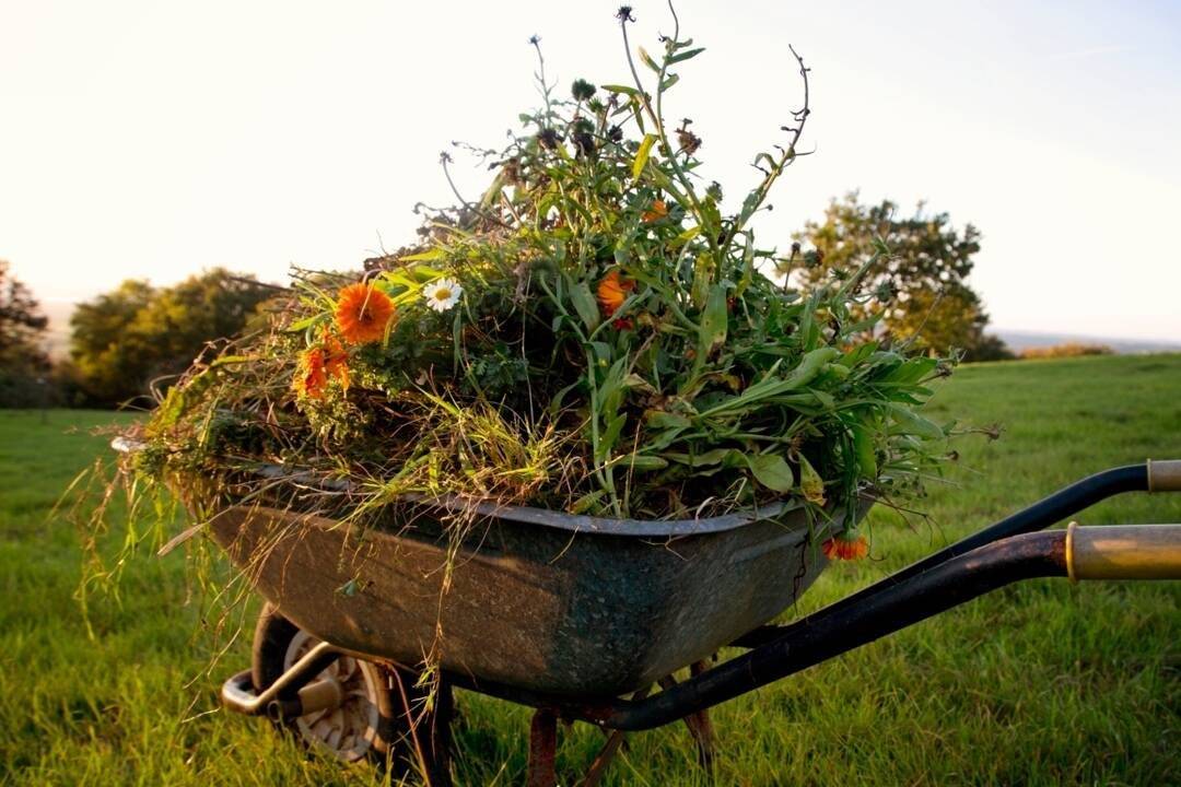 Oznamujeme občanom, že pred obecným úradom je  pristavený veľkokapacitný kontajner na BIO odpad. Do kontajnera  patrí: biologicky rozložiteľný odpad z kuchyne a záhrady, ako sú zvyšky ovocia a zeleniny, tráva, lístie, kvety a malé /posekané/ konáre, drevná štiepka... Do kontajnera nepatrí:kuchynský olej, mäso, mliečne výrobky, kosti, jedlé tuky, uhynutá zver, výkaly zvierat, popol a neodseparované zložky ako papier či plasty.    ZBER  KONÁROV: Žiadame občanov, aby nosili konáre zo záhrad na vytvorené miesta a to : 1.parkovisko pri hlavnej ceste v Púšniku  2. plocha bývalého kovošrotu  /v časti smerom na futbalové ihrisko/ po pravej  strane Žiadame občanov, aby nevytvárali iné kopy a tým nevytvárali nelegálnu skládku.  Ďakujeme za pochopenie.