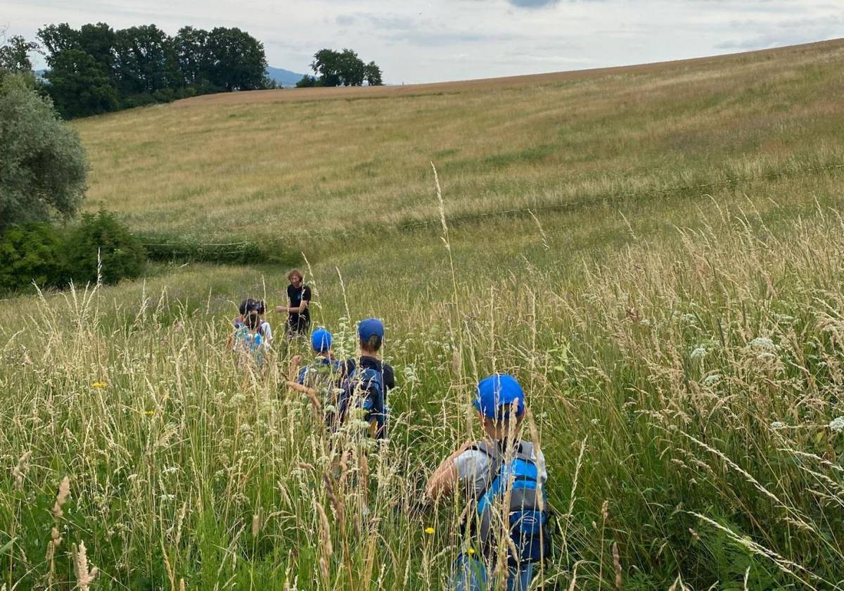 V termínu 25. 5. – 29. 5. 2026 se uskuteční škola v přírodě v Rajnochovicích  (hotel Polom). Celková cena 3600,- Kč zahrnuje stravování 5x denně a pitný režim po celý den, ubytování, dopravu. Pokud Vaše dítě pojede, prosíme o úhradu zálohy 2000,- Kč do  20. 3. 2026 (možno i QR kódem v příloze)