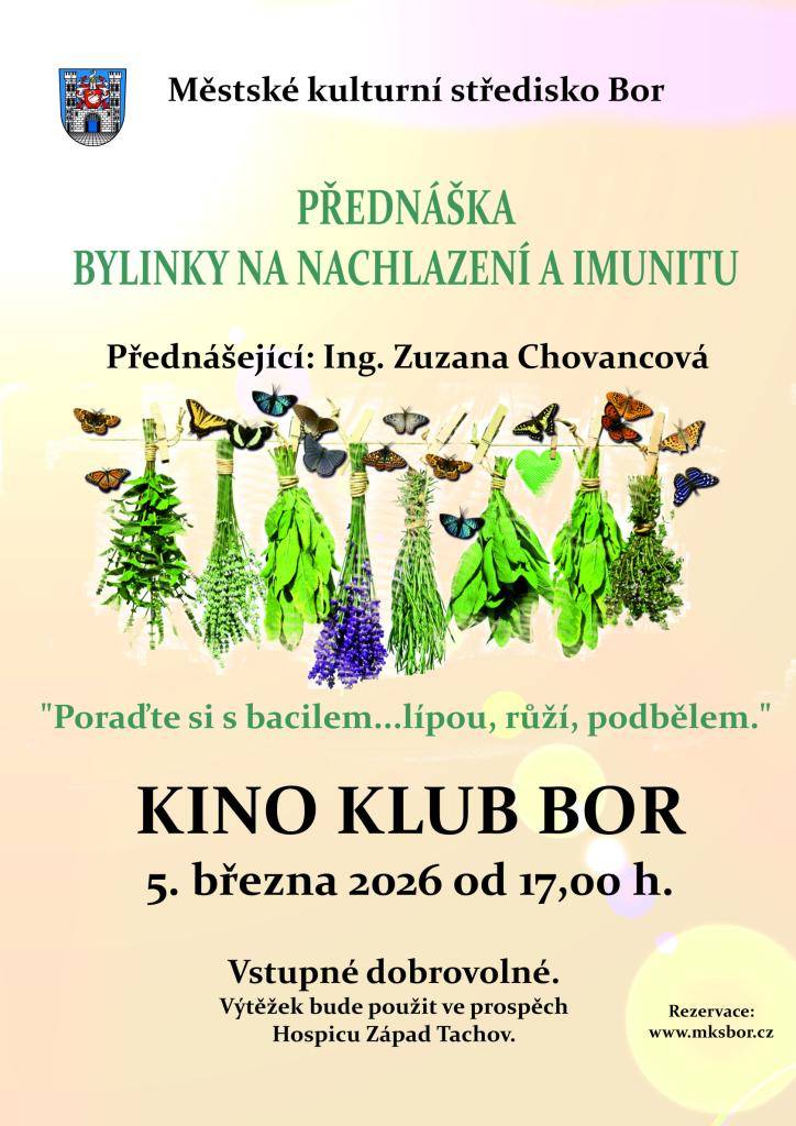 Přednáška - bylinky na nachlazení a imunitu