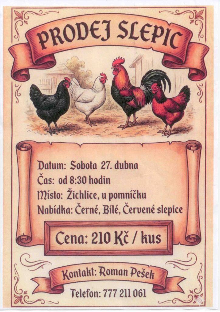 Dne 27.4.2026 se od 8:30 hodin budou prodávat černé, bílé a červené slepice u pomníku v Žichlicích. Cena kus 210,- Kč.  Objednávka slepic na tel. č. 777 211 061 p.Pešek Roman.