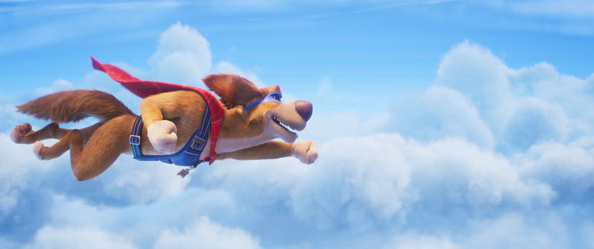 Mladý a plachý chlapec Danny si predstavuje úžasný svet, v ktorom on a jeho milovaný pes Charlie hrajú hlavné úlohy vo svojich vlastných superhrdinských dobrodružstvách.