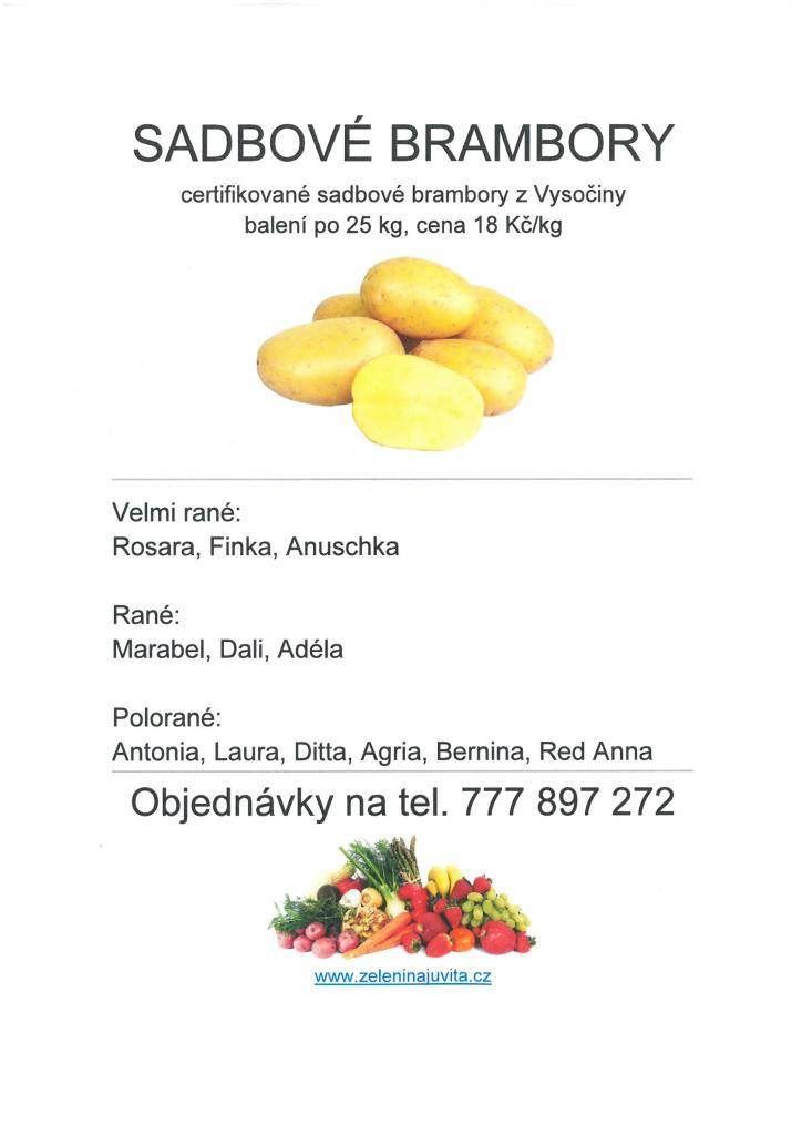 sokolovna 27.2.2026 v 08:40-09:00 hodi