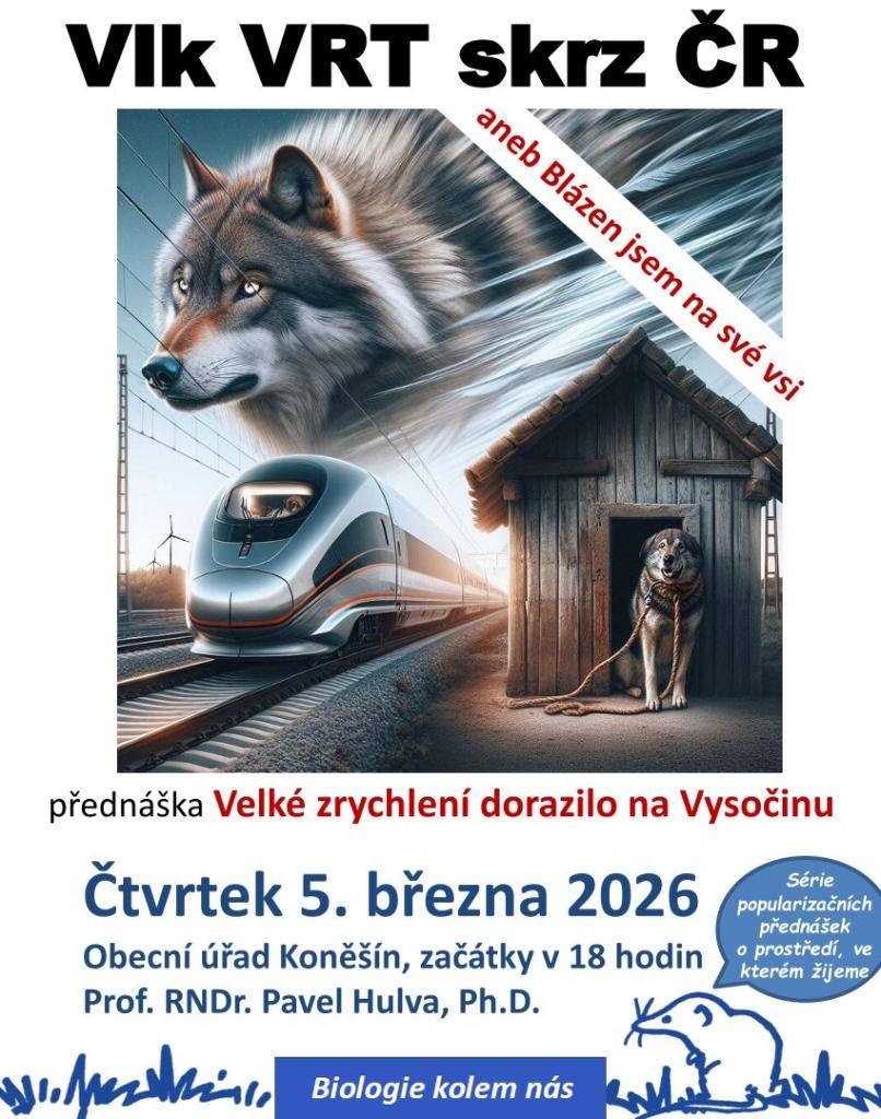 Profesor Pavel Hulva z Přírodovědecké fakulty Univerzity Karlovy se  dlouhodobě zabývá návratem vlka do naší krajiny. V poslední z přednášek  koněšínské minisérie se dozvíte, jak na tom vlci u nás jsou, ale i to,  jak jejich návrat na Vysočinu souvisí s projektem vysokorychlostní trati  tamtéž.