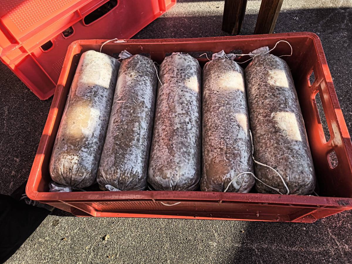 Dobrý den. Dovolujeme si připomenout, že v 9:00 začíná na TJ Sokol 3. ročník Masopustní soboty. Počasí máme nádherné a pochutiny výborné.   Všichni jste srdečně zváni.   Petr Tryščuk místostarosta obce    p.s. na fotografiích vidíte přípravu a vybalování potravin.