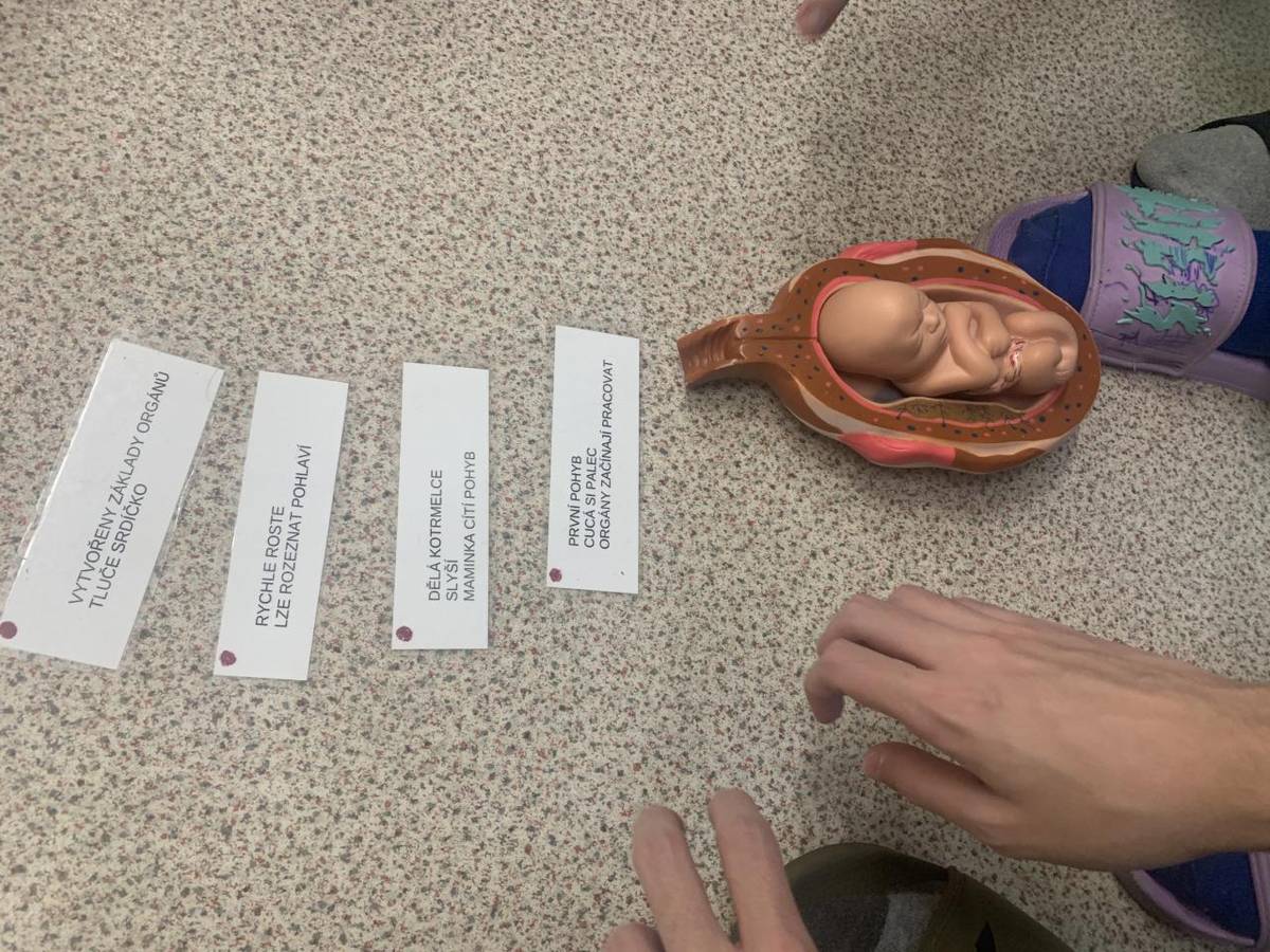 V rámci preventivních programů naší školy proběhl v 9. ročnících preventivní program s názvem „Nečekané těhotenství“. Programem žáky provedla lektorka z organizace Národní iniciativa pro život (NIŽ), která se dlouhodobě věnuje osvětě v oblasti úcty k lidskému životu a pomoci v krizových situacích.