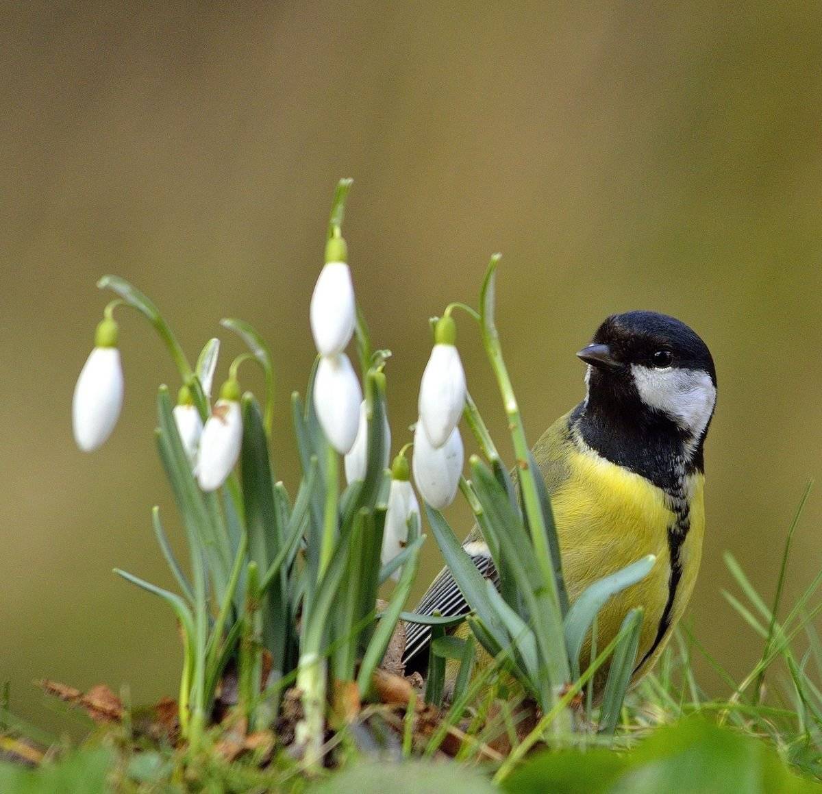 Zpravodaj Březen 2026 - již brzy ve vašich schránkách, ale už nyní na webu obce a zde v aplikaci Munipolis.      https://vilemovice.cz/assets/File.ashx?id_org=18203&id_dokumenty=14947