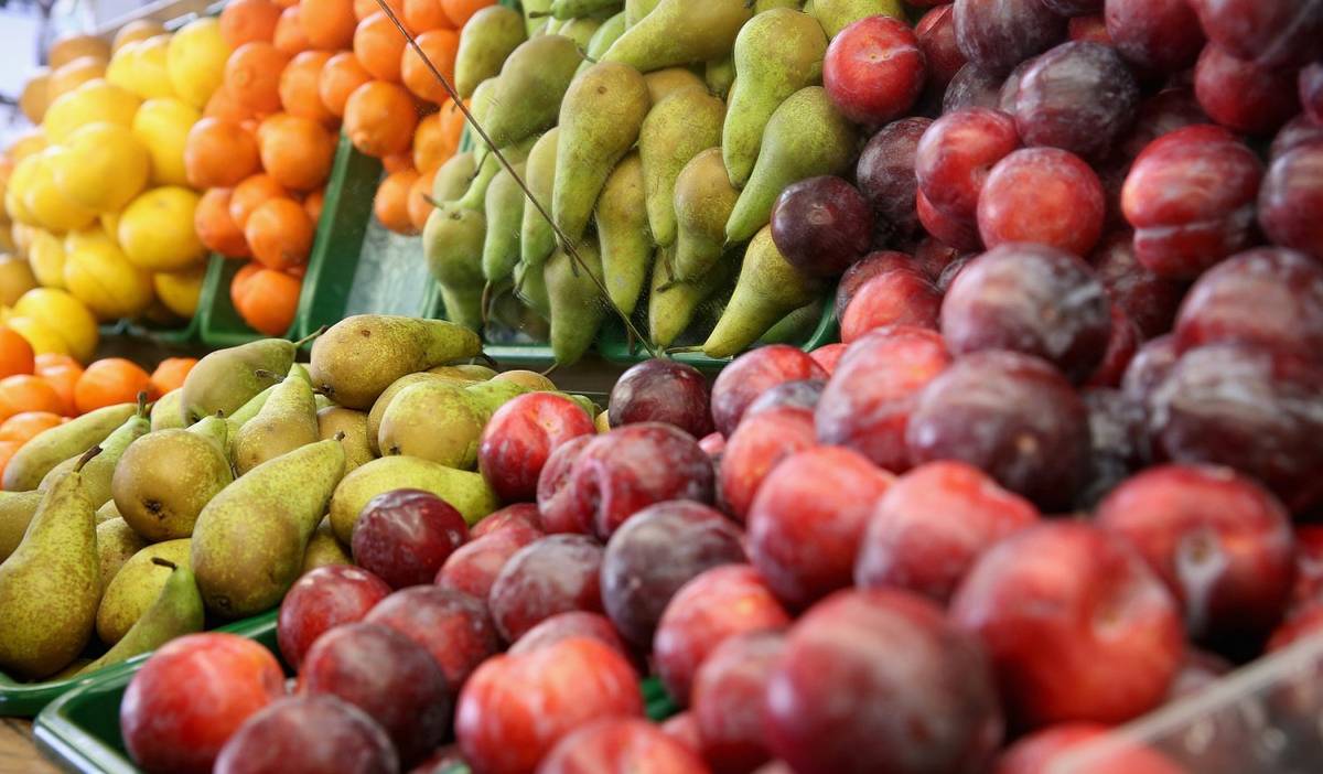 Zelenina Juvita Uherský Brod bude prodávat ve středu dne 4. března 2026 od 10:10 hodin do 10:30 hodin na tržišti na Ptačině a od 11:00 hodin do 11:20 hodin u Základní školy na Horce certifikované sadbové brambory z Vysočiny od 18,- Kč/kg, cibuli - 16,- Kč/kg, jablka - 25,- Kč/kg, konzumní brambory - 12,- Kč/kg, česnek, cibuli sazečku a další ovoce a zeleninu. Dále bude prodejce nabízet žampiony, hlívu ústřičnou, čalamádu, olejové svíčky a med. Řidič přijímá objednávky na sadbové brambory na telefonním čísle: 777 220 340.