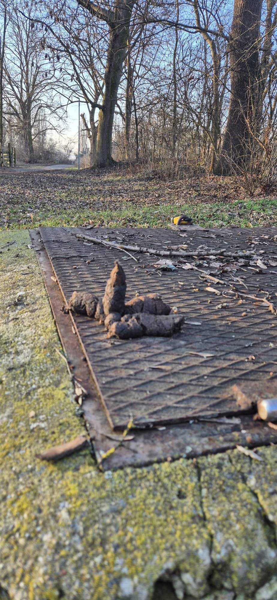 Na pejskaře z Počedělic: To, co se děje na „Zadním hřišti“, je vrchol arogance a nepořádku. Hřiště, kde si mají hrát děti, začíná připomínat psí toaletu. Výkaly jsou téměř všude – a jejich majitelé? Ti se tváří, že se jich to netýká. Jestli nezvládnete po svém psovi uklidit, pak si ho raději nepořizujte. Pes za to nemůže – odpovědnost nese jeho líný a bezohledný páníček. Děti tam běhají, lidé tam sportují a vy tam necháváte psí exkrementy. To má být vizitka Počedělic? Buďte alespoň trochu soudní. Sáček stojí pár korun, slušnost nic. Pokud chcete venčit psa bez uklízení, dělejte to na vlastní zahradě. Zadní hřiště není vaše osobní latrína. Tento názor občanů sdílím i za obec Počedělice.