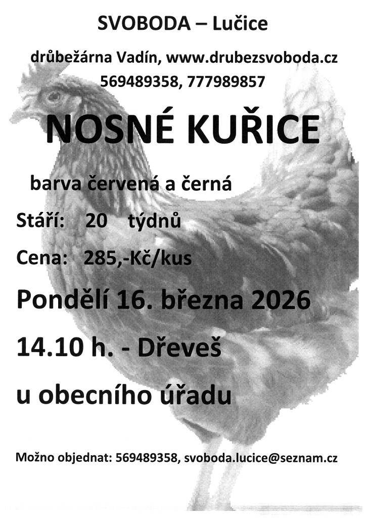 Firma Svoboda Lučice pořádá prodej nosných kuřic, které se uskuteční v pondělí 16. března 2026 v 14:10 hodin u Obecního úřadu ve Dřeveši. Nabídka zahrnuje kuřice stáří 20 týdnů v barvách červená-Isa brown a černá-Morávia. Cena za kus činí 285 Kč.