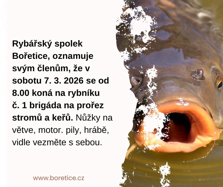 Rybářský spolek Bořetice, oznamuje svým členům, že v sobotu 7. 3. 2026 od 8.00 hodin se na rybníku č. 1 koná brigáda na prořez stromů a keřů – nůžky na větve, motor. pily, hrábě, vidle vezměte s sebou.
