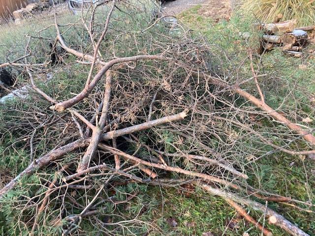 Opět nastalo období ořezu stromů a otázka, co s větvemi při omezení možnosti jejich spálení.  Protože na tento bioodpad není na sběrném dvoře prostor, opět můžete využít ke svozu větví prostor skládky U dubu, kde následně zajistíme jejich zpracování nebo štěpkování.