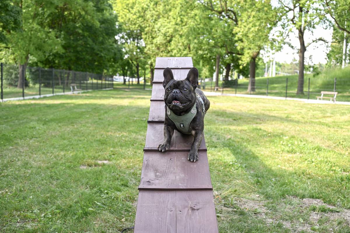 📍 Magistrát města začíná od dnešního dne doručovat do všech domácností poštovní poukázky na místní poplatky za psy a komunální odpad. Složenky budou postupně doručovány až do 10. dubna. 📍 K bezproblémovému doručení poukázek je nezbytné mít přístupné a jmenovkou řádně označené poštovní schránky. Důležité je rovněž správné označení domu číslem popisným a orientačním.  📍 Nejlepší možností úhrady je platba bankovním převodem na účet města Hradec Králové. Číslo účtu a variabilní symbol jsou uvedeny na poštovních poukázkách. Rovněž je možné provést úhradu chytrým telefonem nebo v některých bankovních platbomatech prostřednictvím QR kódu, který je vytištěn přímo na složence. 📍 V případě, že poplatník nechce dostávat informace k platbě poštovní poukázkou, je možné nahlásit e-mailovou adresu, na kterou bude magistrát města platební údaje doručovat od následujícího roku. Žádost je možné zaslat na e-mailovou adresu poplatky@mmhk.cz. 📍 Výše poplatku za komunální odpad se letos neměnila a činí 800 korun pro dospělé a děti nad 14 let. Senioři nad 70 let a děti ve věku 6 až 14 let mají sazbu poloviční. Výše poplatku ze psů zůstává také stejná. Oba poplatky jsou splatné do 25. dubna.