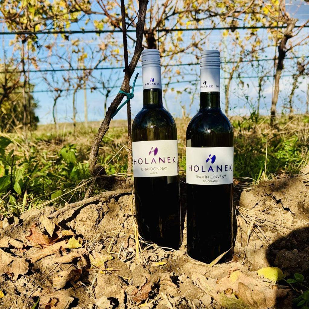 Vinařství Holánek přijede v sobotu 7.3.2026 s pojízdnou vinotékou. Tento týden přiveze vinařství Holánek v akci polosladký Tramín červený za 170 Kč, suché Chardonnay za 140 Kč, vína sudová 80-90 Kč/litr, vína lahvová výběr z hroznů, pozdní sběr 150-250 Kč.
