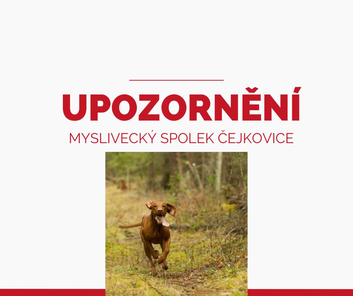 Jednání majitele, který nechá svého psa pronásledovat srnčí zvěř, může být posuzováno jako přečin pytláctví a bude oznámeno Policii České republiky.
