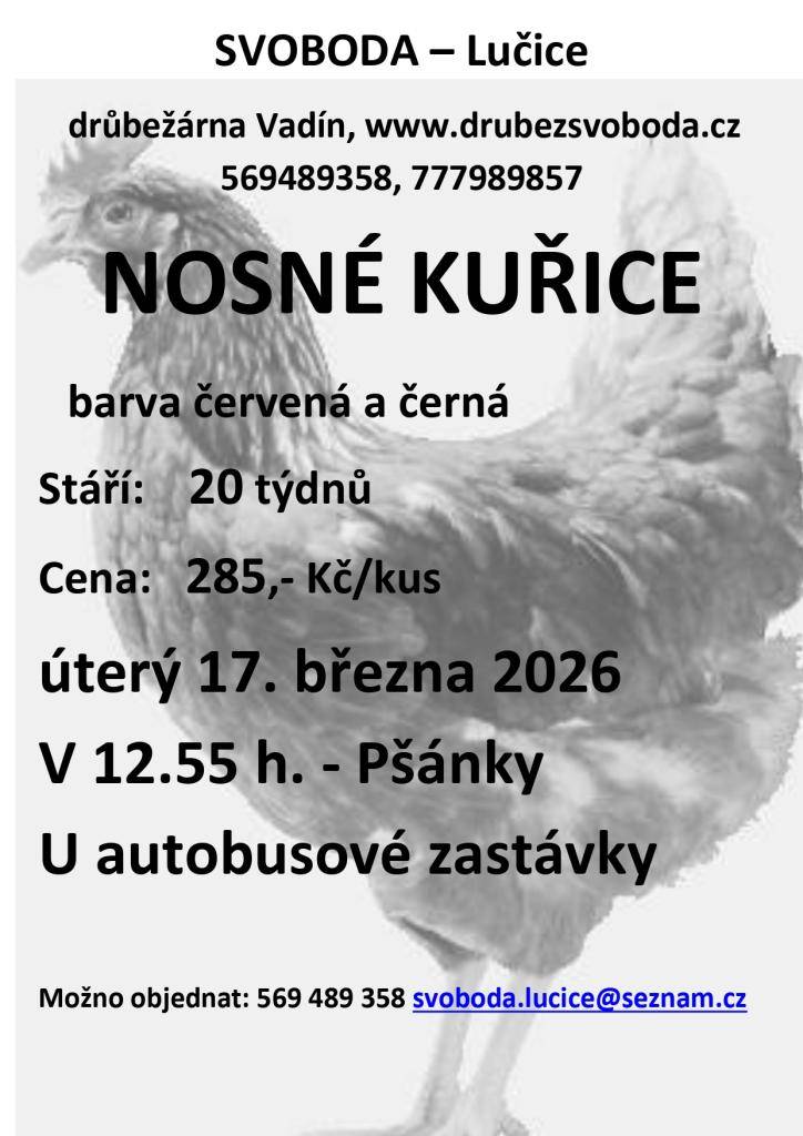 Nosné kuřice: barva červená a černá; Stáří: 20 týdnů; Cena: 285,- Kč/kus; úterý 17. března 2026; V 12.55 h. Pšánky u autobusové zastávky.  Možno objednat: 569 489 358 svoboda.lucice@seznam.cz