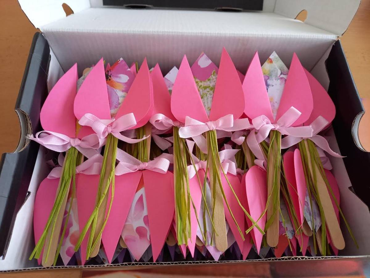 Sdružení Amelie od roku 2013 realizuje kampaň ,,Tulipánový měsíc“. Družina podporuje tento projekt téměř od samého začátku. V loňském roce jsme také od Amélie dostali ocenění za dlouholetou spolupráci a podporu, což nám udělalo velkou radost.