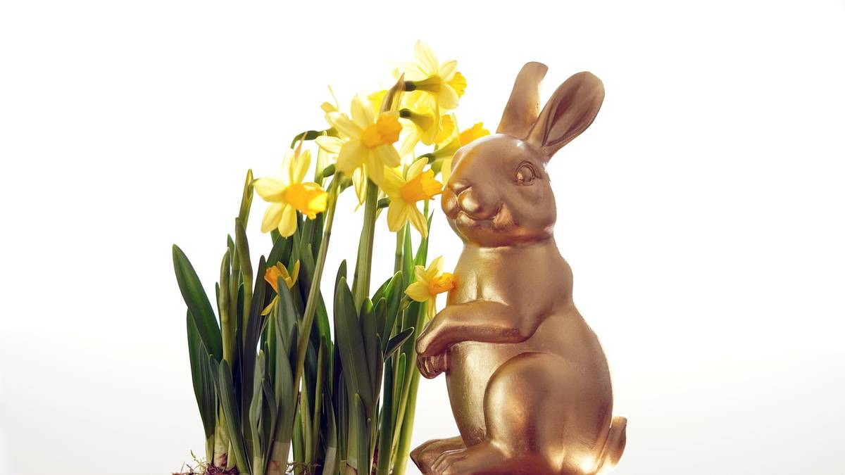 Na celý týden jarních prázdnin připravujeme pro děti program. Více informací o celém týdnu bude během února zveřejněno na webu Bája.