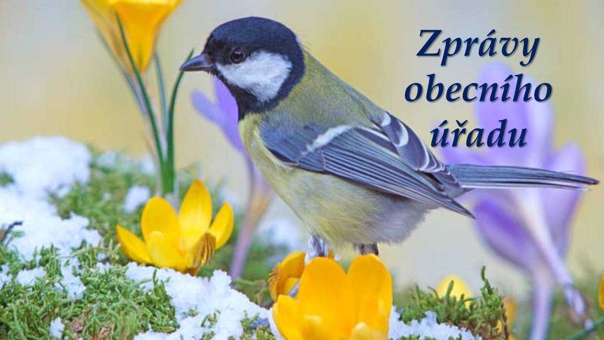 Aktuální zprávy běžící na infokanálu.