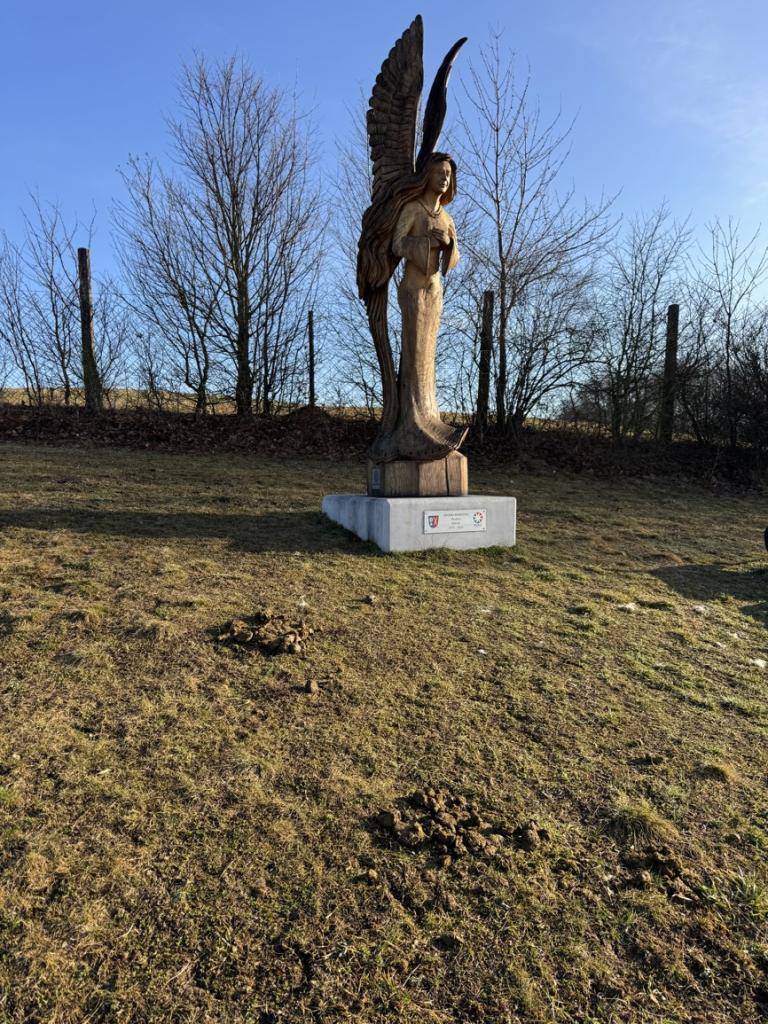 Vážení spoluobčané,  to, co se stalo tuto neděli na polní cestě k vyhlídce Barborka a na louce na Bílé Hlíně, mě opravdu mrzí – a zároveň zlobí.