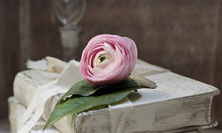 Knihovna v Rebešovicích bude ve čtvrtek 5. března uzavřená, náhradní termín je ve středu 4. března.