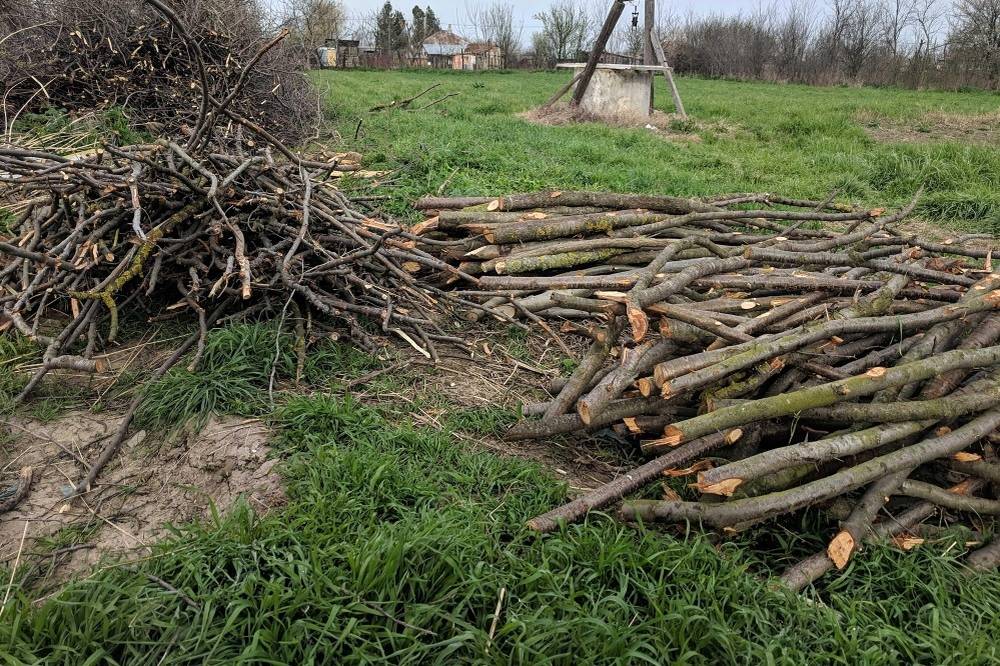 Od 02.03.2026 do konca apríla bude možné vyvážať konáre, drevnú hmotu a orezy zo stromov na vyhradené miesto na Močidlách.