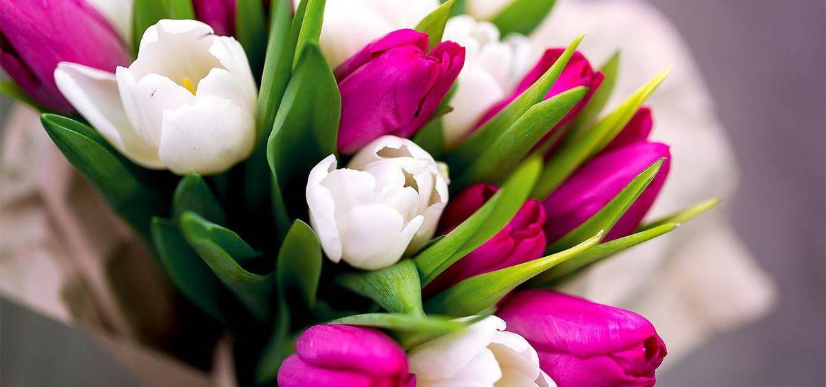 Predsedníčky JDS a KZP v Nižnom Hrušove pozývajú svoje členky na posedenie pri príležitosti Medzinárodného dňa žien v nedeľu 8.3.2026 o 16:00 hod. do kultúrneho domu. Pripravené bude malé pohostenie a malý darček. Tešíme sa na spoločné stretnutie.